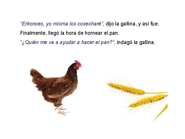 “Entonces, yo misma los cosecharé”, dijo la gallina, y así fue. Finalmente, llegó la