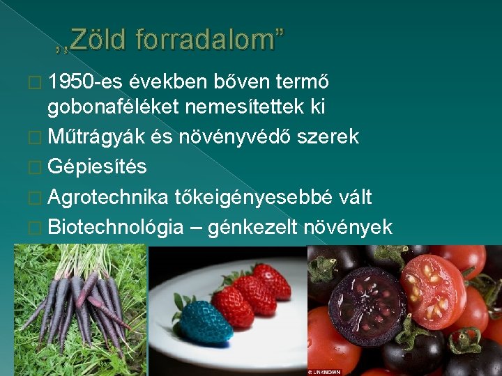 , , Zöld forradalom” � 1950 -es években bőven termő gobonaféléket nemesítettek ki � , , Zöld forradalom” � 1950 -es években bőven termő gobonaféléket nemesítettek ki �