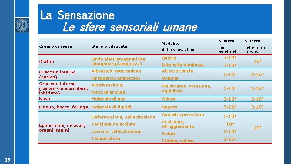 La Sensazione Le sfere sensoriali umane Organo di senso Stimolo adeguato Occhio Onde elettromagnetiche