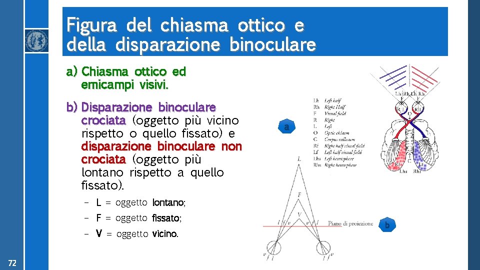 Figura del chiasma ottico e della disparazione binoculare a) Chiasma ottico ed emicampi visivi.