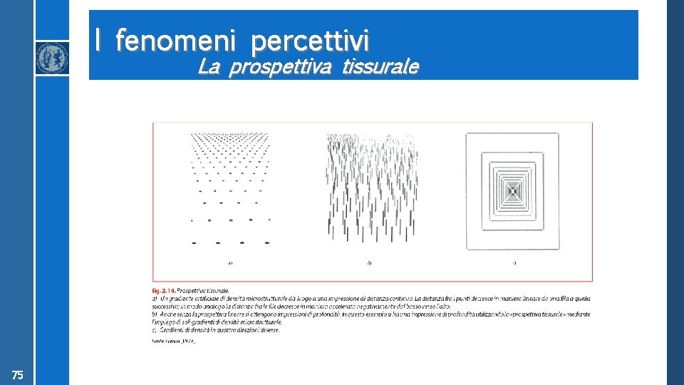 I fenomeni percettivi La prospettiva tissurale 75 