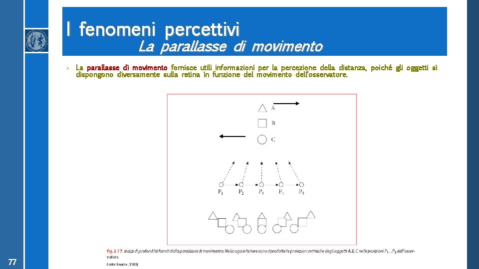 I fenomeni percettivi La parallasse di movimento › La parallasse di movimento fornisce utili