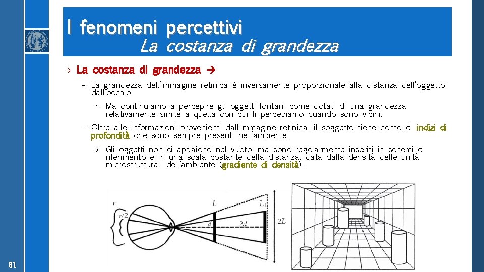 I fenomeni percettivi La costanza di grandezza › La costanza di grandezza – La