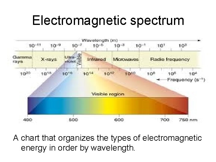 Electromagnetic spectrum A chart that organizes the types of electromagnetic energy in order by