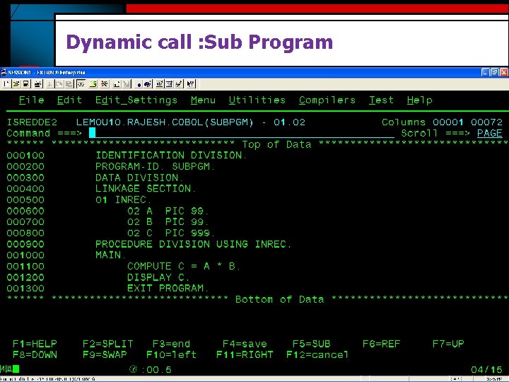 Dynamic call : Sub Program 