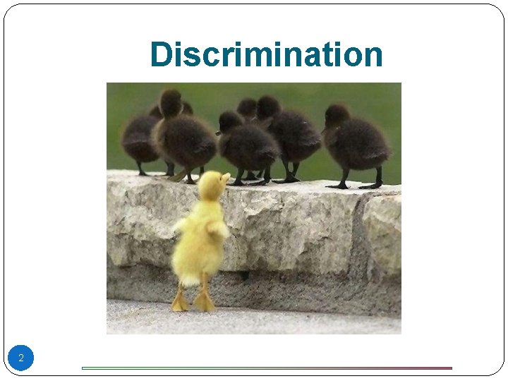 Discrimination 2 