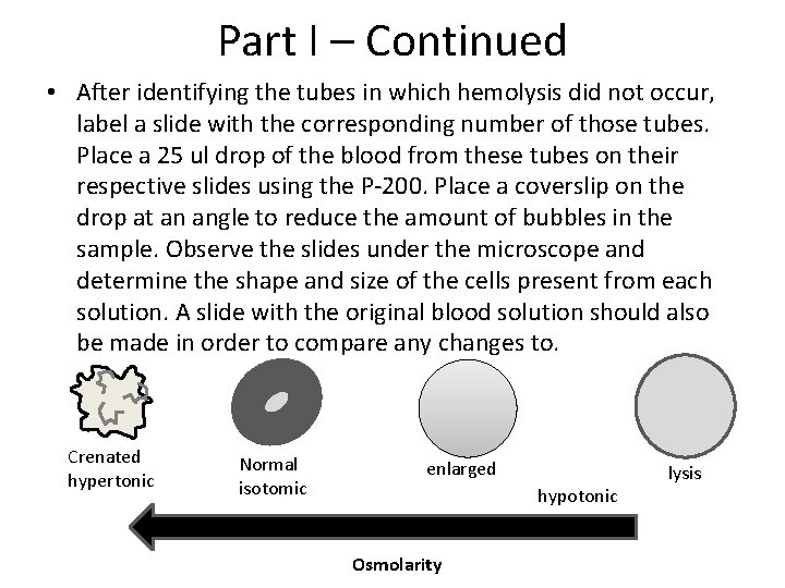 Part I – Continued • After identifying the tubes in which hemolysis did not