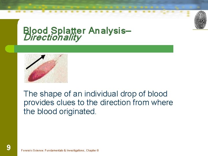 Blood Splatter Analysis— Directionality The shape of an individual drop of blood provides clues