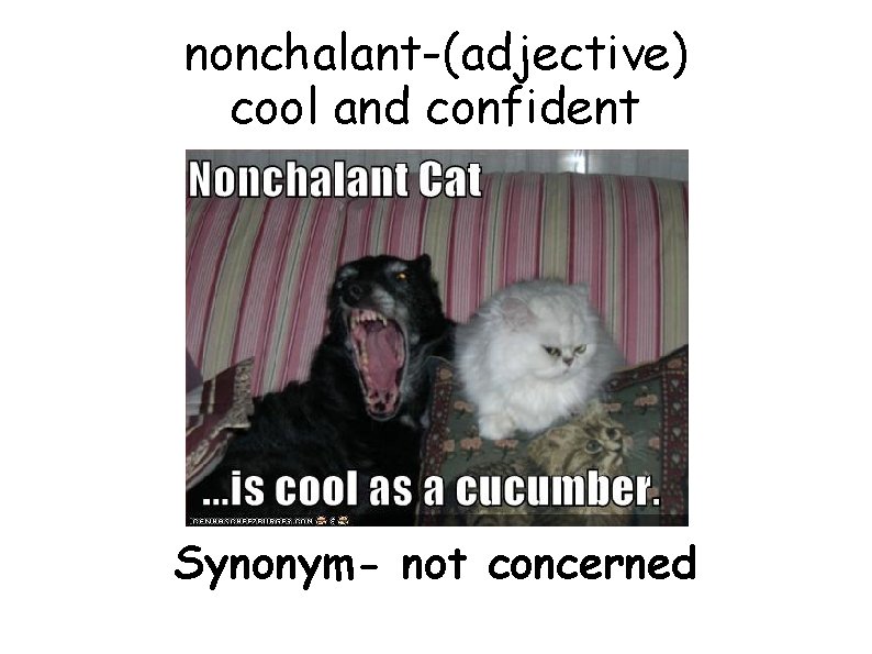 nonchalant-(adjective) cool and confident Synonym- not concerned 