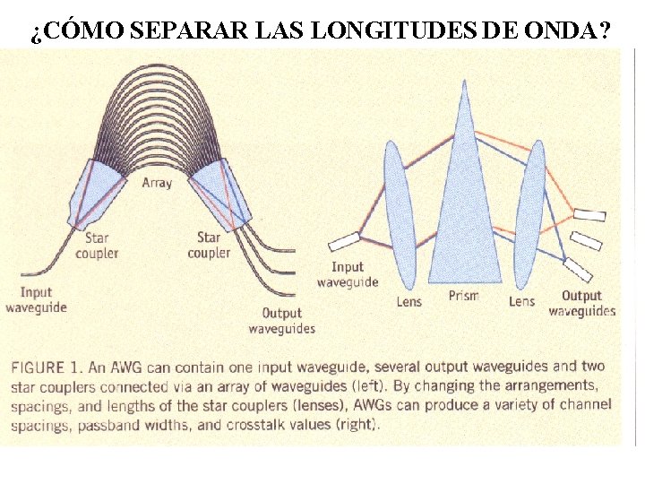 ¿CÓMO SEPARAR LAS LONGITUDES DE ONDA? 