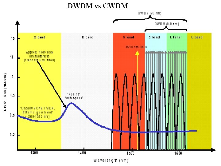 DWDM vs CWDM 