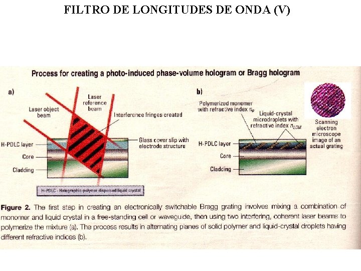 FILTRO DE LONGITUDES DE ONDA (V) 