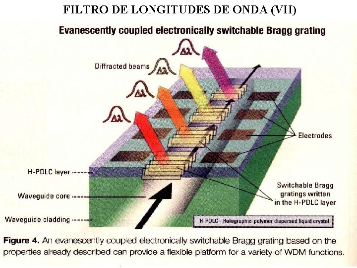 FILTRO DE LONGITUDES DE ONDA (VII) 