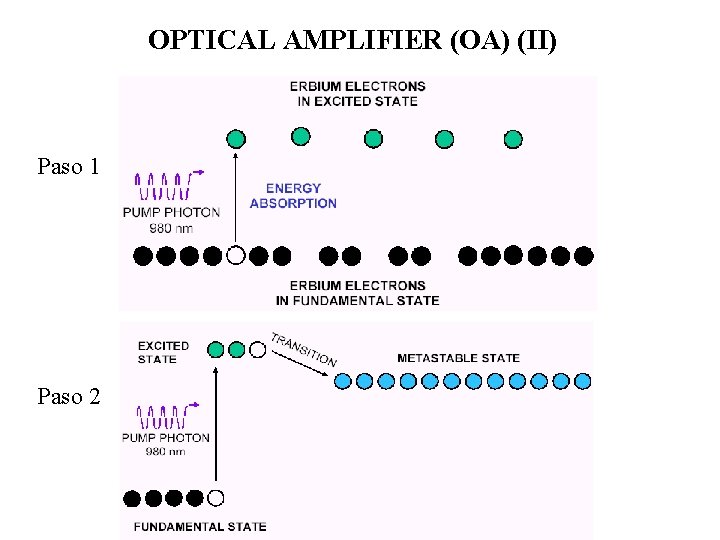 OPTICAL AMPLIFIER (OA) (II) Paso 1 Paso 2 