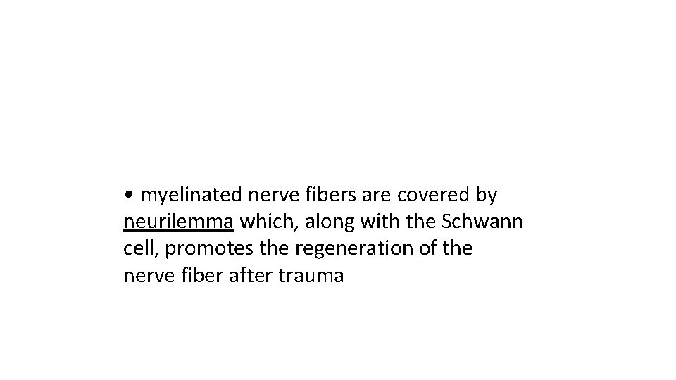  • myelinated nerve fibers are covered by neurilemma which, along with the Schwann