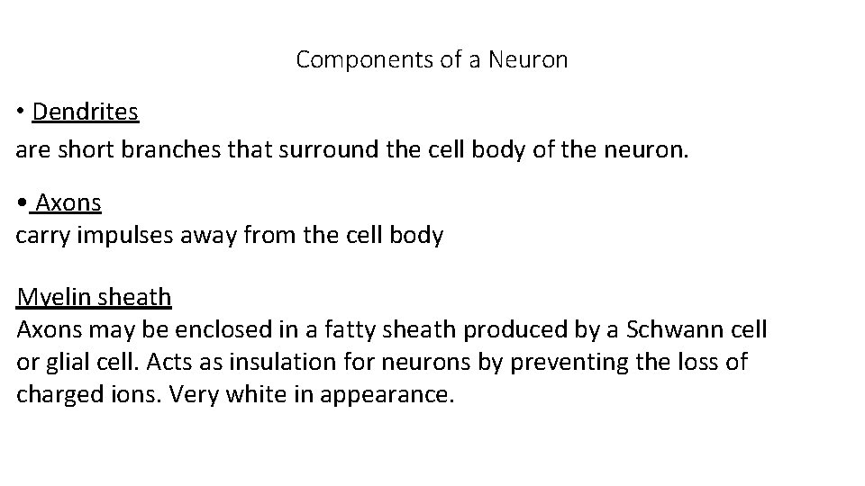 Components of a Neuron • Dendrites are short branches that surround the cell body