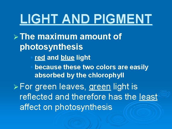 LIGHT AND PIGMENT Ø The maximum amount of photosynthesis • red and blue light