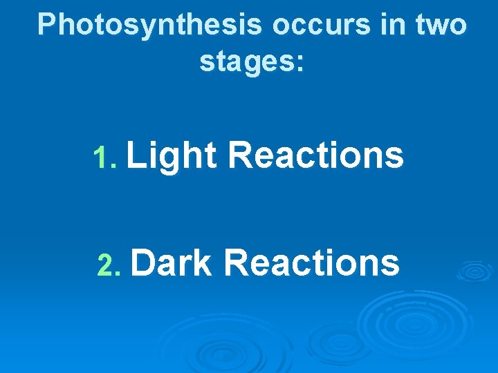 Photosynthesis occurs in two stages: 1. Light Reactions 2. Dark Reactions 