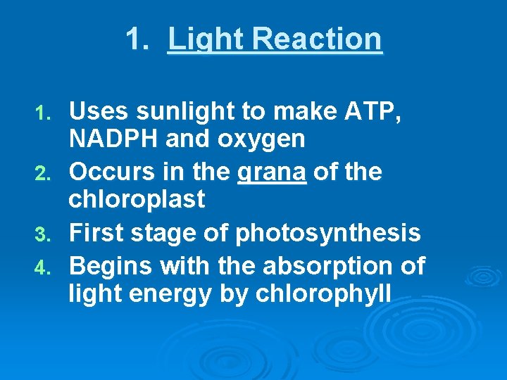 1. Light Reaction Uses sunlight to make ATP, NADPH and oxygen 2. Occurs in