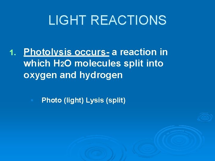 LIGHT REACTIONS 1. Photolysis occurs- a reaction in which H 2 O molecules split