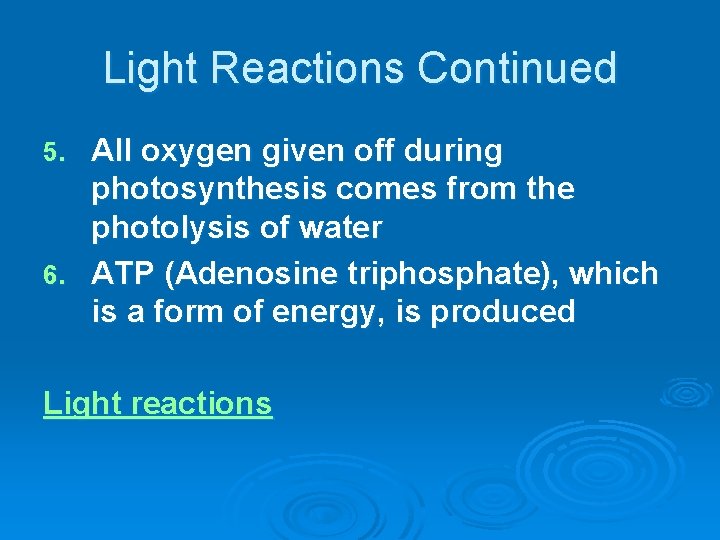 Light Reactions Continued All oxygen given off during photosynthesis comes from the photolysis of