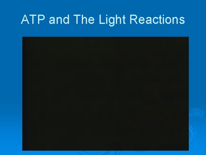 ATP and The Light Reactions 