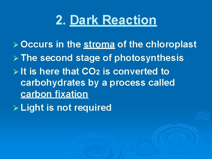 2. Dark Reaction Ø Occurs in the stroma of the chloroplast Ø The second