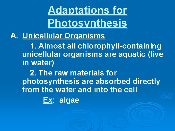 Adaptations for Photosynthesis A. Unicellular Organisms 1. Almost all chlorophyll-containing unicellular organisms are aquatic