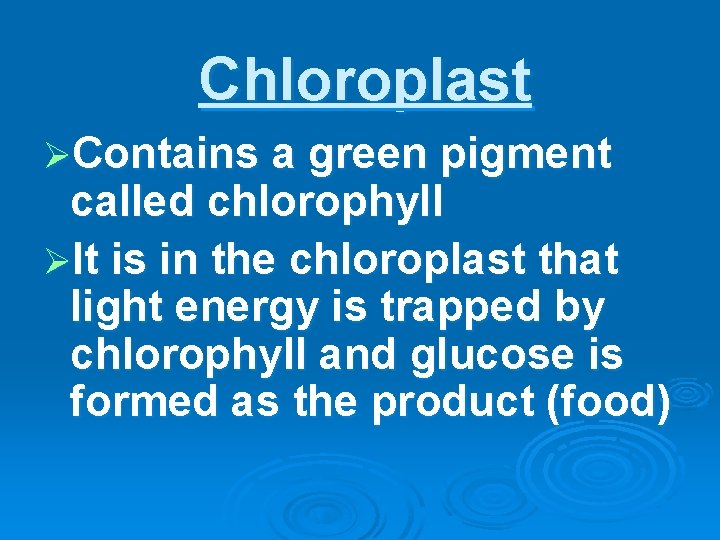 Chloroplast ØContains a green pigment called chlorophyll ØIt is in the chloroplast that light