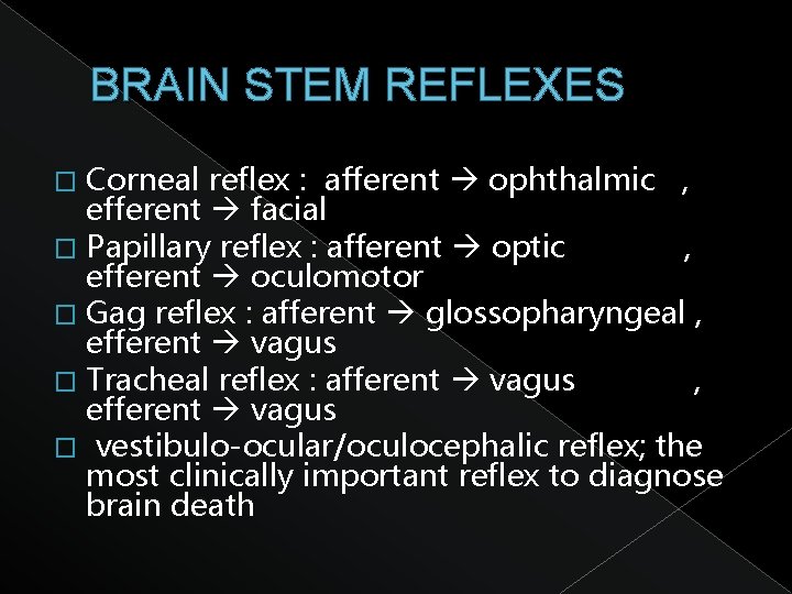 BRAIN STEM REFLEXES Corneal reflex : afferent ophthalmic , efferent facial � Papillary reflex