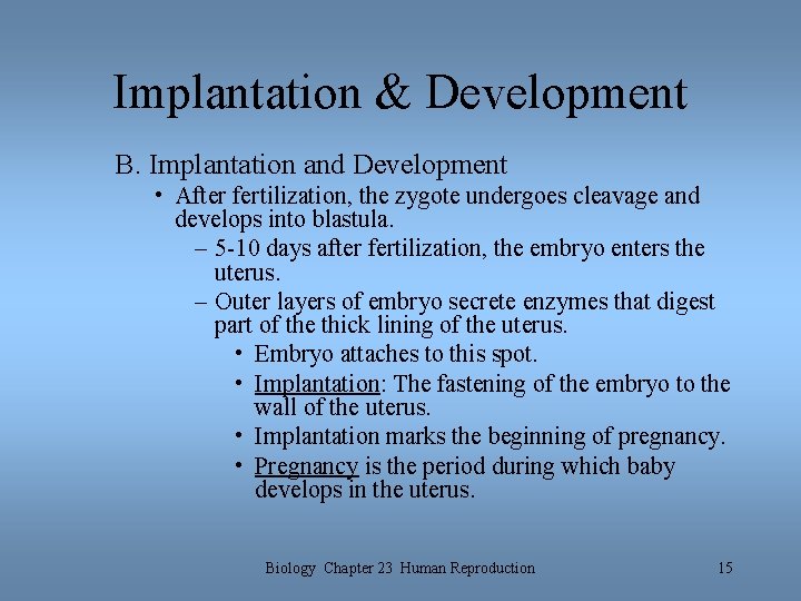 Implantation & Development B. Implantation and Development • After fertilization, the zygote undergoes cleavage Implantation & Development B. Implantation and Development • After fertilization, the zygote undergoes cleavage