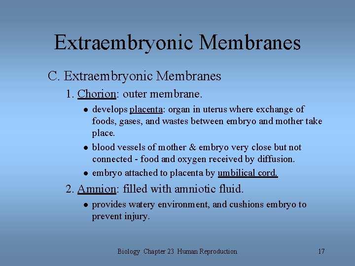 Extraembryonic Membranes C. Extraembryonic Membranes 1. Chorion: outer membrane. l l l develops placenta: Extraembryonic Membranes C. Extraembryonic Membranes 1. Chorion: outer membrane. l l l develops placenta:
