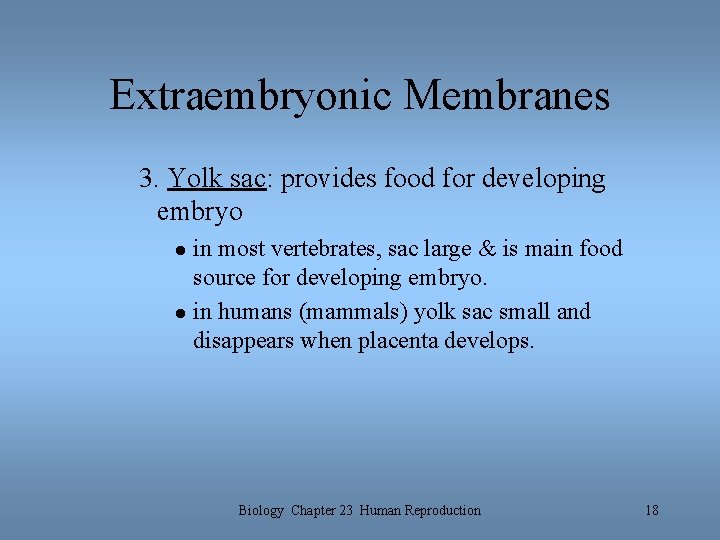 Extraembryonic Membranes 3. Yolk sac: provides food for developing embryo in most vertebrates, sac Extraembryonic Membranes 3. Yolk sac: provides food for developing embryo in most vertebrates, sac