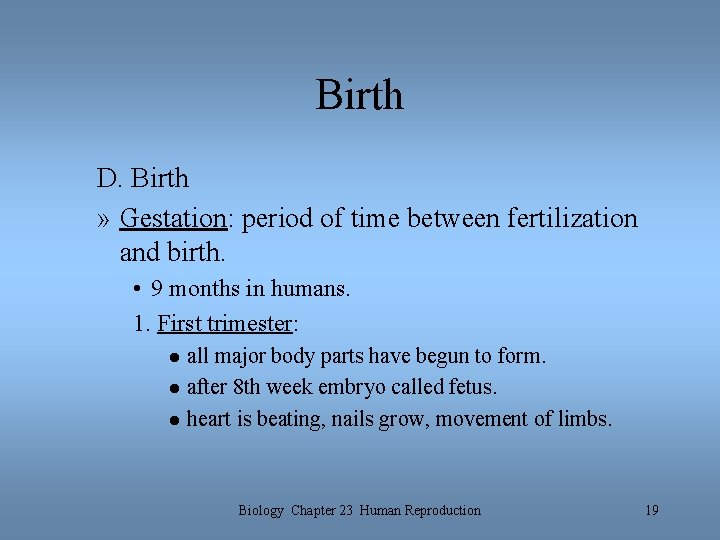 Birth D. Birth » Gestation: period of time between fertilization and birth. • 9 Birth D. Birth » Gestation: period of time between fertilization and birth. • 9