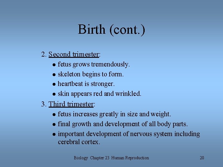 Birth (cont. ) 2. Second trimester: l l fetus grows tremendously. skeleton begins to Birth (cont. ) 2. Second trimester: l l fetus grows tremendously. skeleton begins to