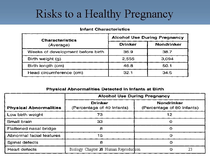 Risks to a Healthy Pregnancy Biology Chapter 23 Human Reproduction 23 Risks to a Healthy Pregnancy Biology Chapter 23 Human Reproduction 23