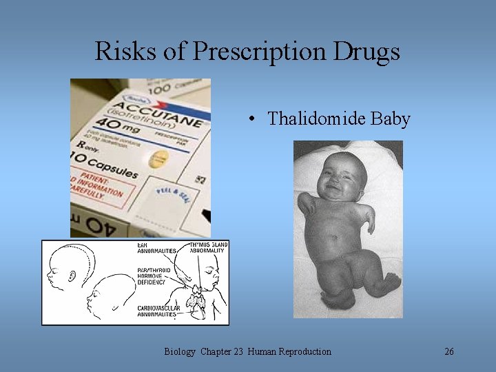 Risks of Prescription Drugs • Thalidomide Baby Biology Chapter 23 Human Reproduction 26 Risks of Prescription Drugs • Thalidomide Baby Biology Chapter 23 Human Reproduction 26