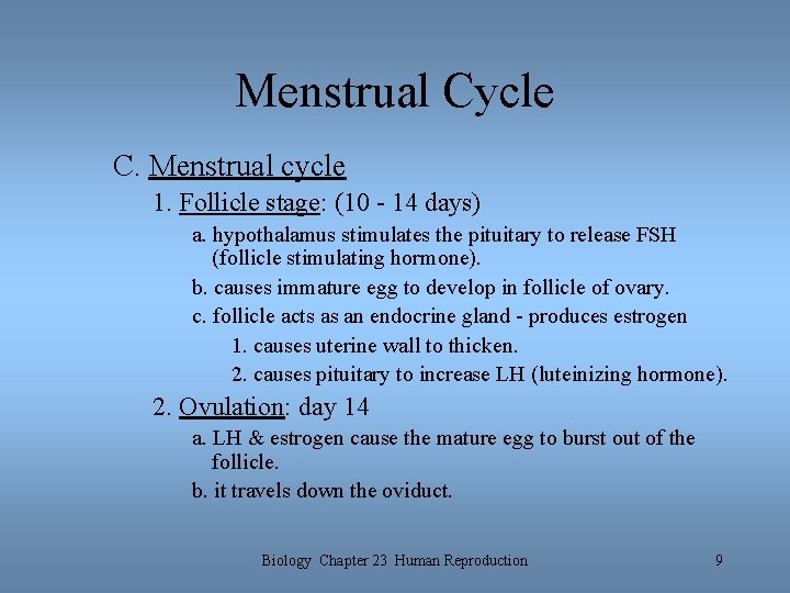 Menstrual Cycle C. Menstrual cycle 1. Follicle stage: (10 - 14 days) a. hypothalamus Menstrual Cycle C. Menstrual cycle 1. Follicle stage: (10 - 14 days) a. hypothalamus