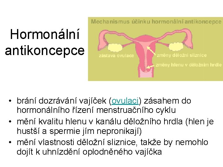 Hormonální antikoncepce • brání dozrávání vajíček (ovulaci) zásahem do hormonálního řízení menstruačního cyklu •