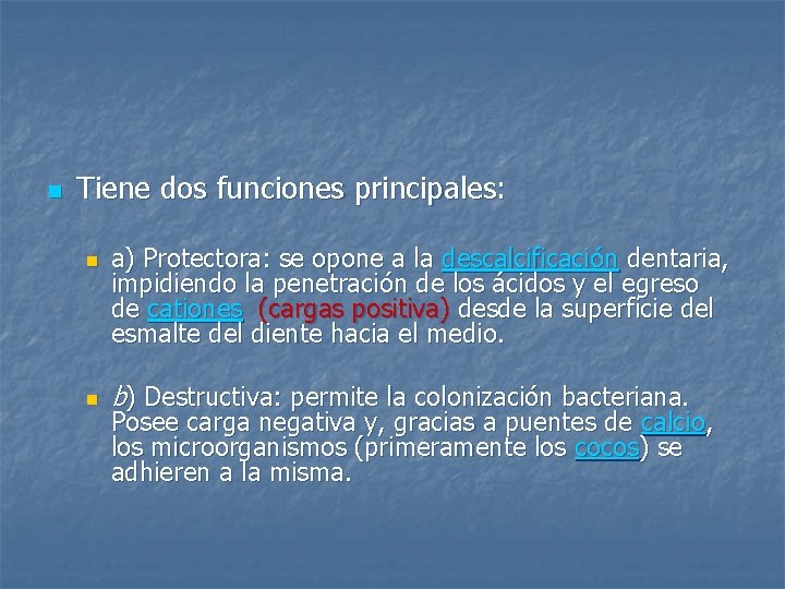 n Tiene dos funciones principales: n n a) Protectora: se opone a la descalcificación