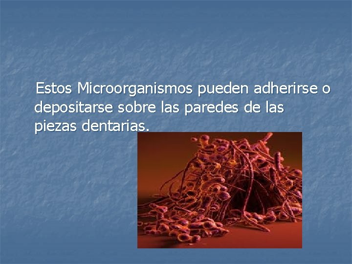 Estos Microorganismos pueden adherirse o depositarse sobre las paredes de las piezas dentarias. 