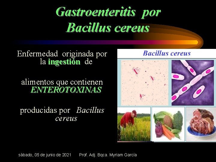 Gastroenteritis por Bacillus cereus Enfermedad originada por la ingestión de alimentos que contienen ENTEROTOXINAS