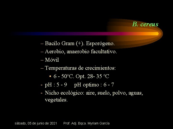 B. cereus – Bacilo Gram (+). Esporógeno. – Aerobio, anaerobio facultativo. – Móvil –