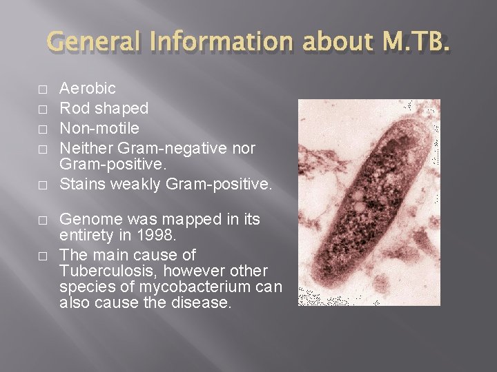 General Information about M. TB. � � � � Aerobic Rod shaped Non-motile Neither