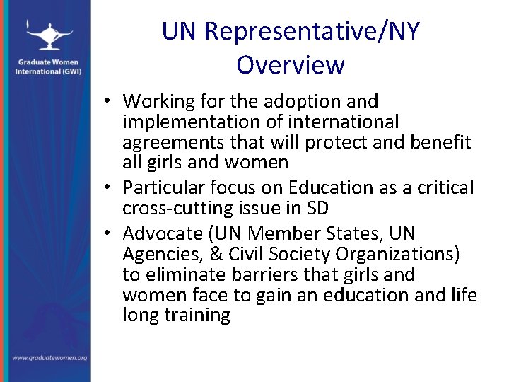 UN Representative/NY Overview • Working for the adoption and implementation of international agreements that
