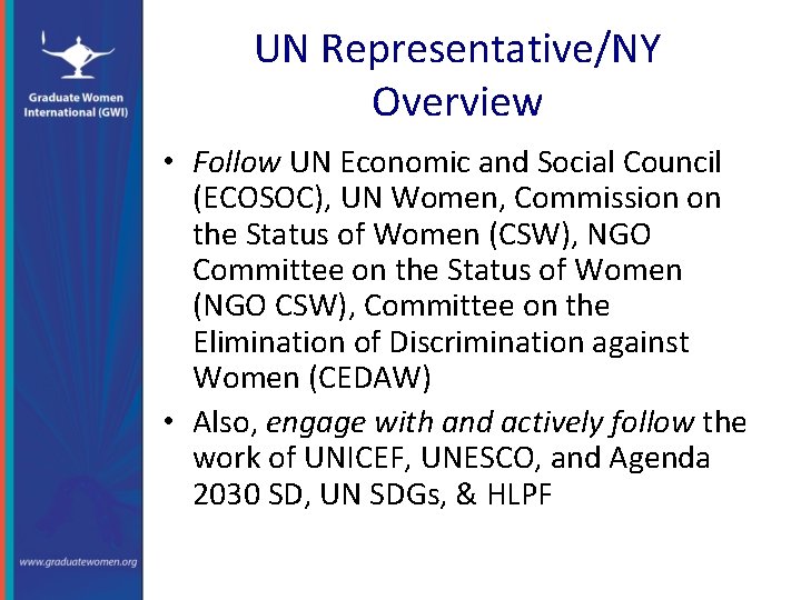 UN Representative/NY Overview • Follow UN Economic and Social Council (ECOSOC), UN Women, Commission