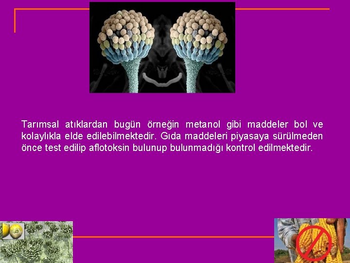 Tarımsal atıklardan bugün örneğin metanol gibi maddeler bol ve kolaylıkla elde edilebilmektedir. Gıda maddeleri