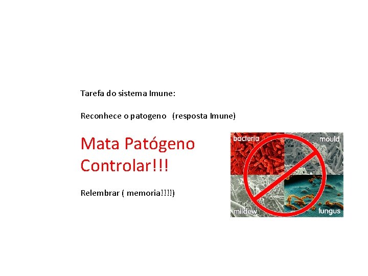 Tarefa do sistema Imune: Reconhece o patogeno (resposta Imune) Mata Patógeno Controlar!!! Relembrar (