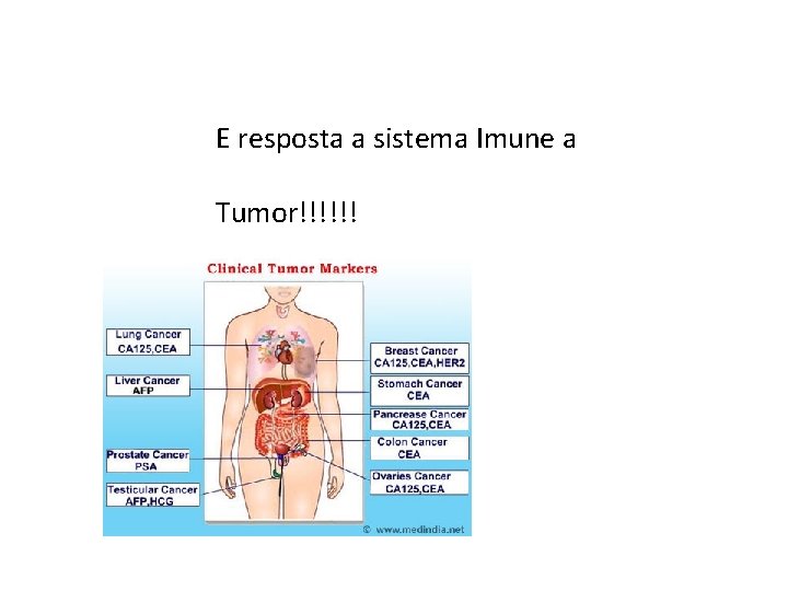 E resposta a sistema Imune a Tumor!!!!!! 