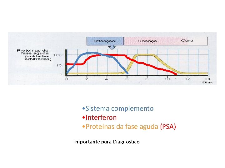  • Sistema complemento • Interferon • Proteínas da fase aguda (PSA) Importante para